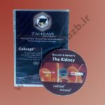 چاپ و رایت CD و DVD - چاپ کاور CD و DVD - طراحی CD و DVD - طراحی کاور CD و DVD